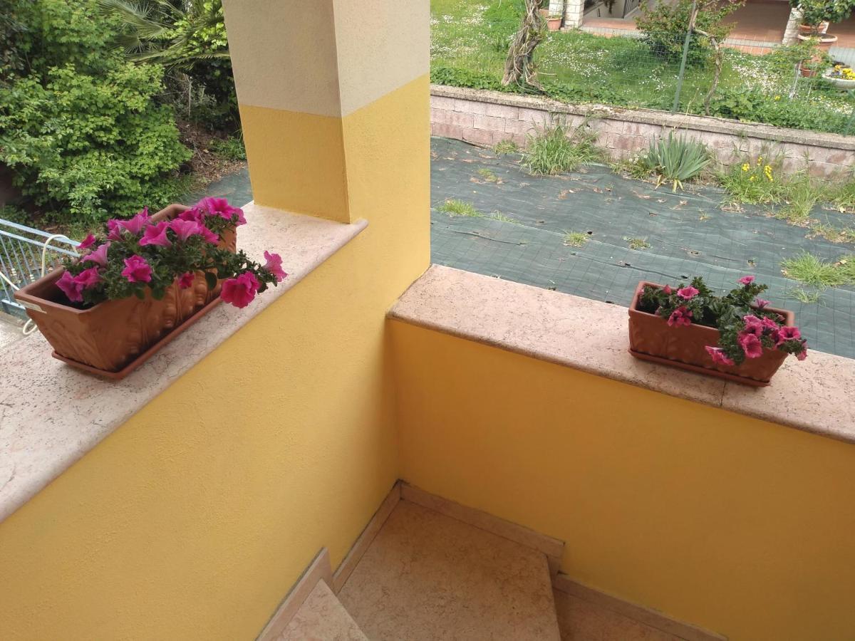 B&B Rosa Dei Venti Orvieto Exteriör bild